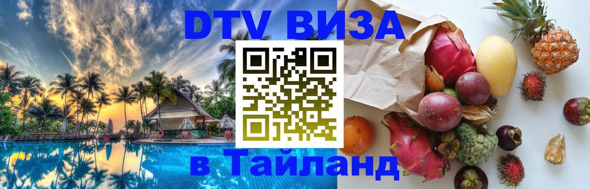 Сколько стоит DTV виза — актуальные цены, оформление даже без документов - Армавир 